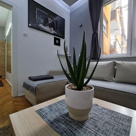 Apartmán Nikola Tesla City Walk Ni Exteriér fotografie