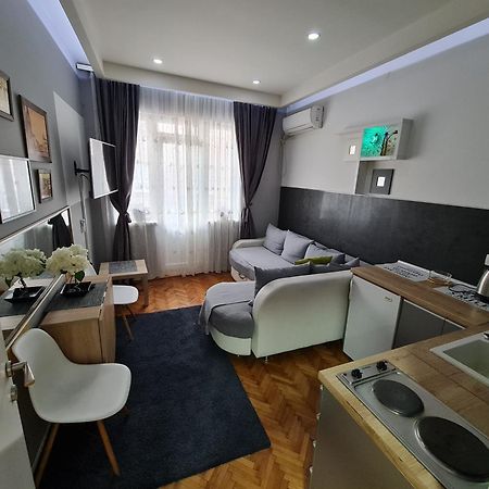 Apartmán Nikola Tesla City Walk Ni Pokoj fotografie